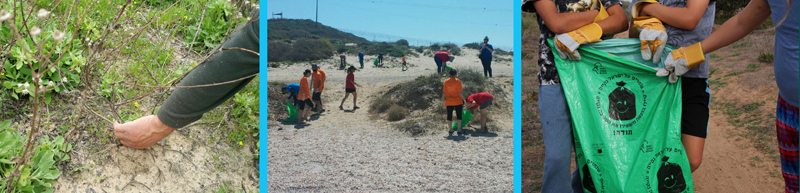 התנדבות בפלמחים