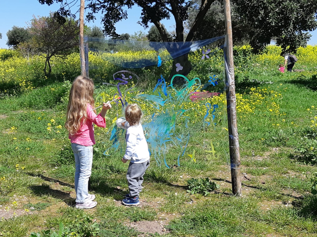כוכב הירדן. צילום: אבי בן דוד