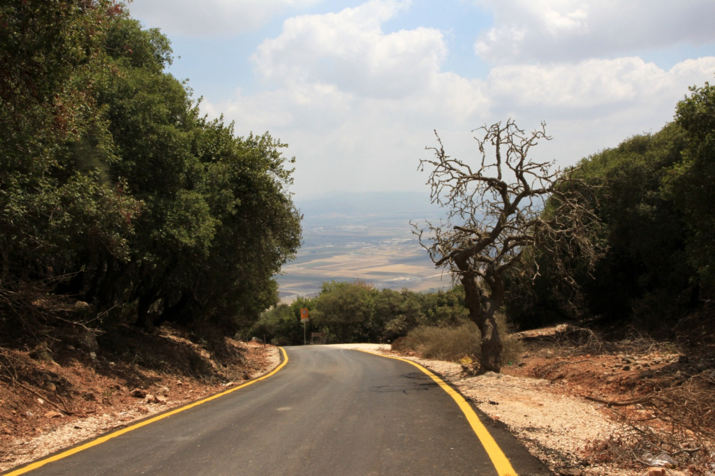 דרך נוף כרמל