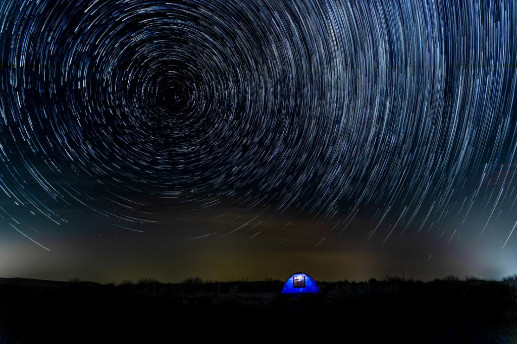 דייויד בן אלישע