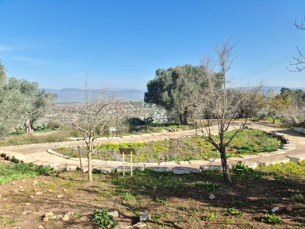 גן_המקלט_בציפורי_-_צילום_מיטל_אהרון_רשות_הטבע_והגנים_(1)