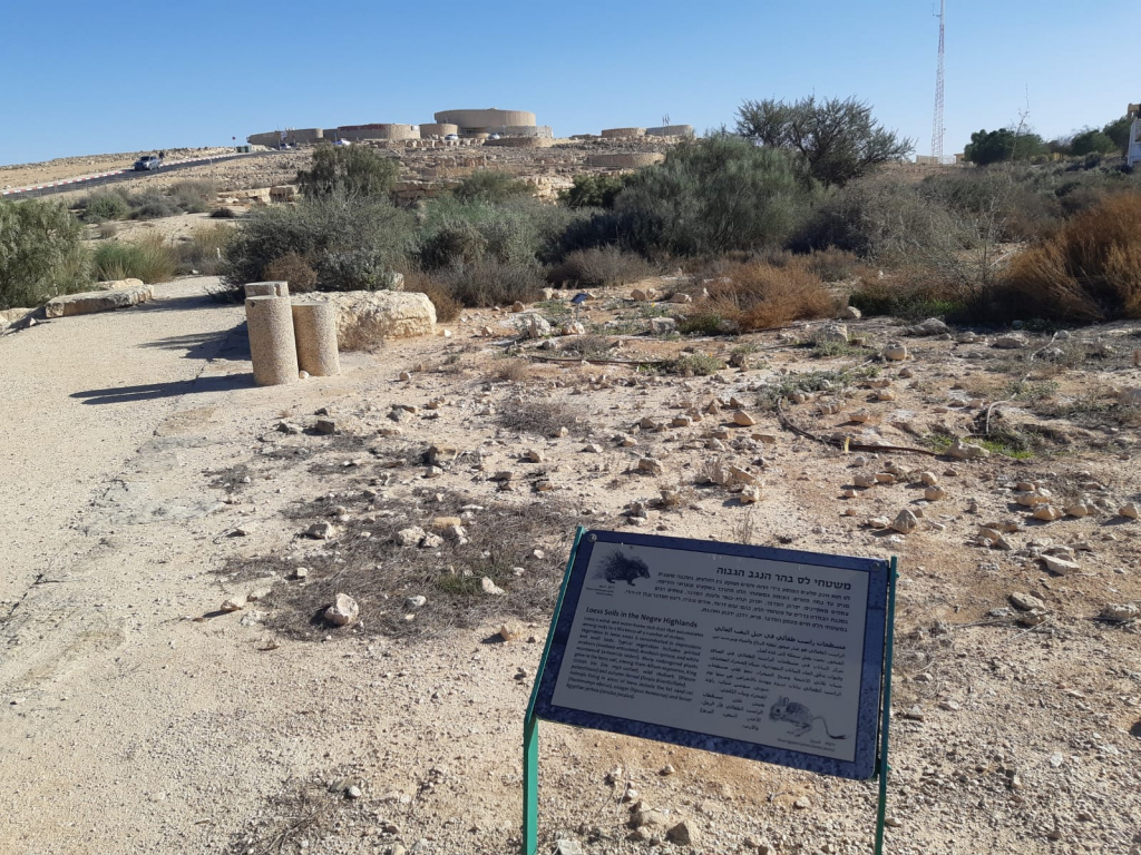 גן_מקלט_לצמחים_חי_רמון_-_צילום_אמיר_שפיר_רשות_הטבע_והגנים_(4)