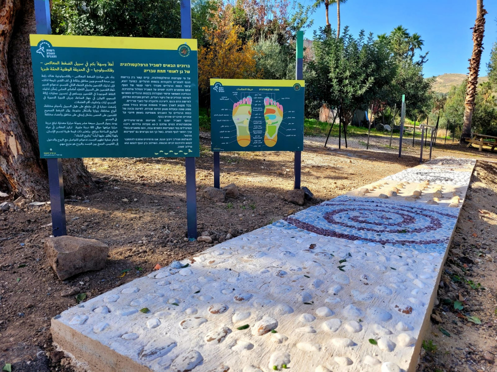 שביל הרפלקסולוגיה בחמת טבריה - צילמה שרית פלצ'י מיארה