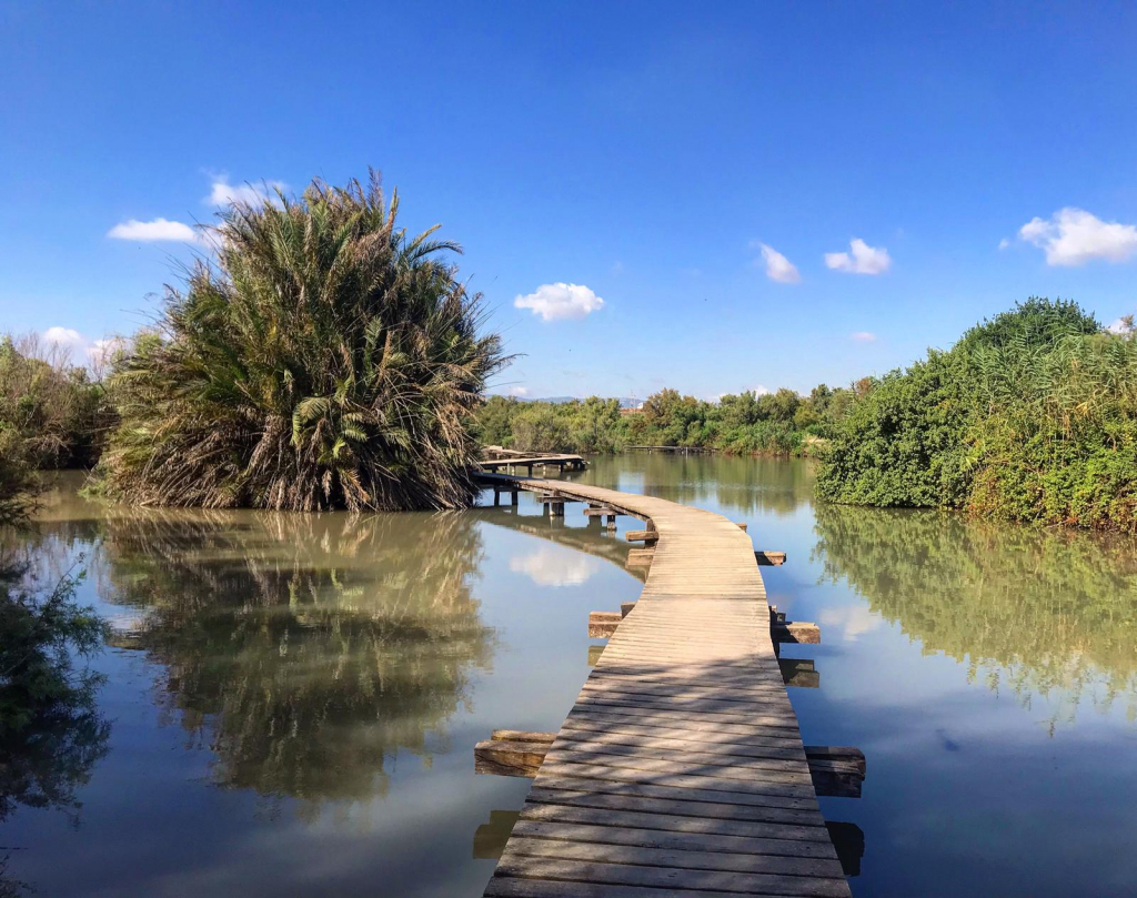 שמורת טבע עין אפק שמורת טבע עין אפק. צילם אורי ארליך
