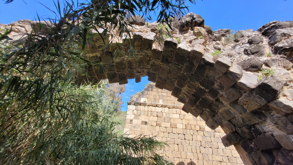 נחל חרוד. צילום: רחל אשכול