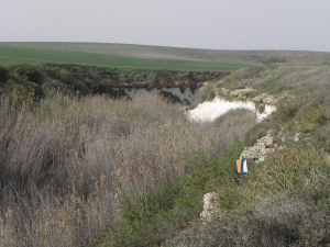 מחשוף קירטון בנחל סד. צילום הדס עברון