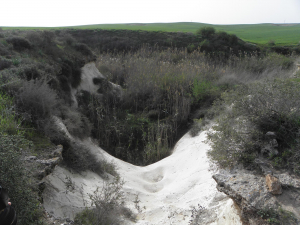 נחל סד. צילום הדס עברון