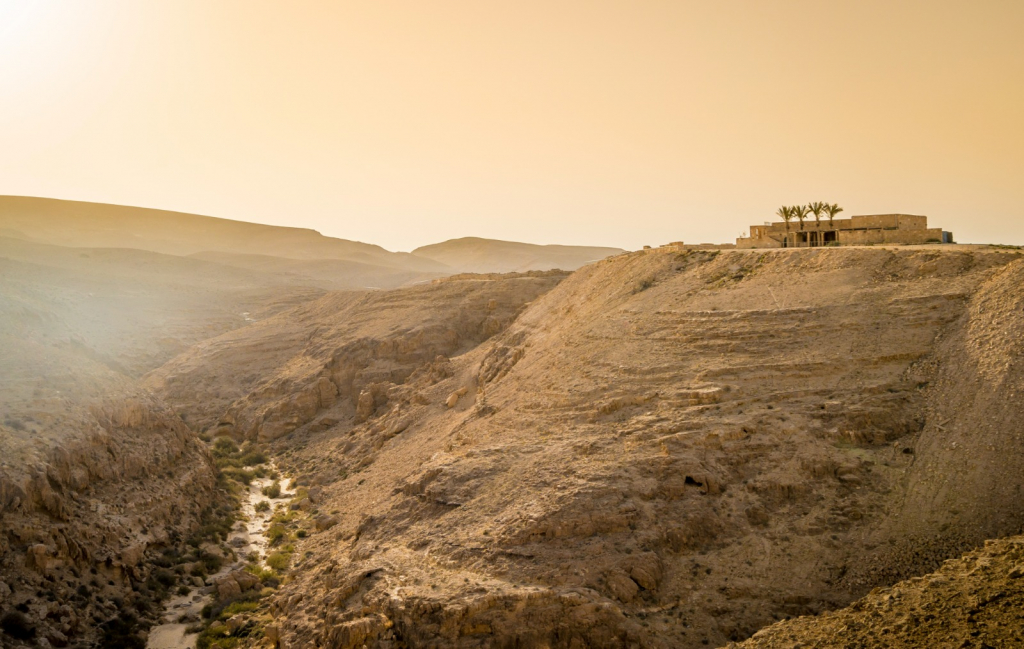 ממשית, צילום: מנו גרינשפן ממשית, צילום: מנו גרינשפן