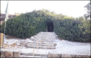 אלת המסטיק צומחת מעל המערה אלת המסטיק צומחת מעל המערה, ושורשי העץ התבססו בתוך סדקים בסלע ושורשי העץ התבססו בתוך סדקים בסלע