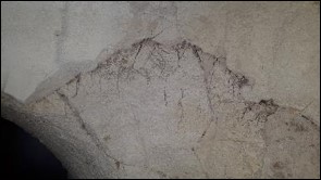 ניקוי הסדקים והסרת מניפת שורשים, שהתבססה בתוך הסדקים ומאיימת על יציבות קרום הסלע ניקוי הסדקים והסרת מניפת שורשים, שהתבססה בתוך הסדקים ומאיימת על יציבות קרום הסלע