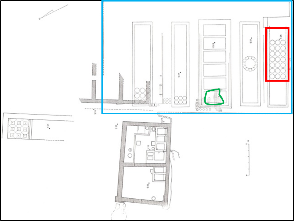 תכנית שטח החפירה בכחול סימון מיתאר בית הכנסת, בירוק סימן אזור פסיפס דויד המלך, באדום סימון פסיפס המדליונים הנמצא כיום במוזיאון השומרוני