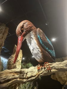 מרכז המבקרים החדש בעיינות צוקים מרכז המבקרים החדש בעיינות צוקים, צילום מיכל משיח