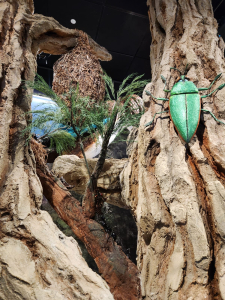 מרכז המבקרים החדש בעיינות צוקים מרכז המבקרים החדש בעיינות צוקים, צילום מיכל משיח