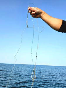 אכיפת דיג לא חוקי בעונת הרבייה