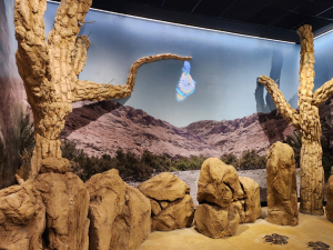 מרכז המבקרים החדש בעיינות צוקים מרכז המבקרים החדש בעיינות צוקים, צילום מיכל משיח