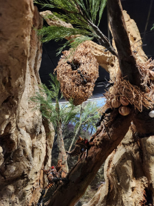 מרכז המבקרים החדש בעיינות צוקים מרכז המבקרים החדש בעיינות צוקים, צילום מיכל משיח