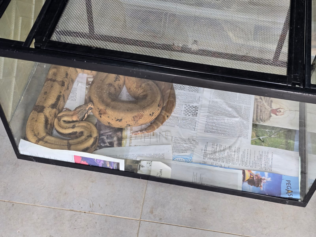 הנחשים שנתפסו, דוברות המשטרה